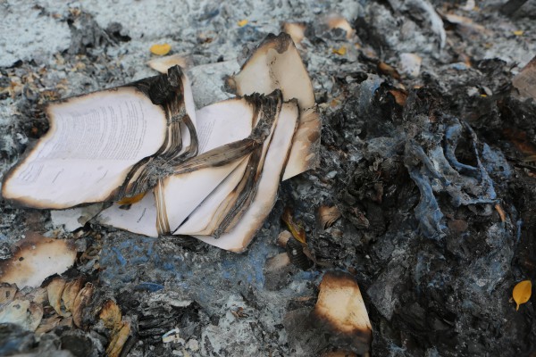 Image of Book pages burned