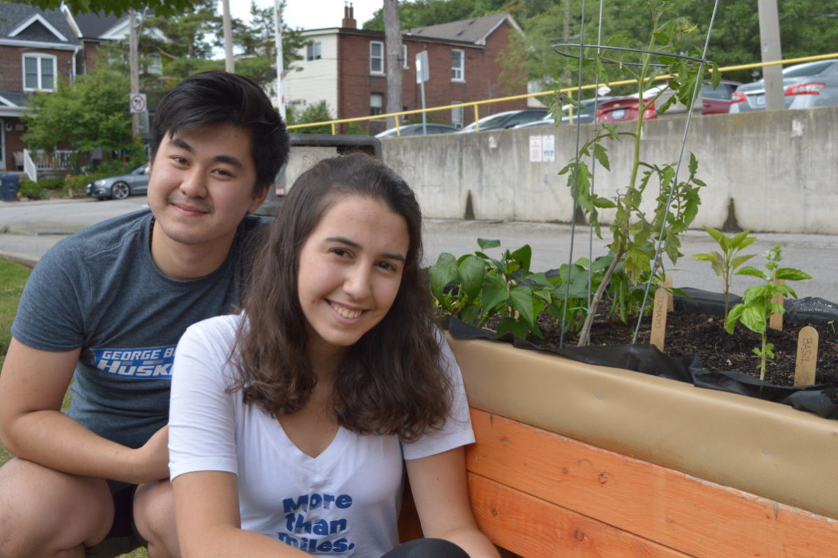 Van Nguyen and Camila Lima grew vegetables but also community at George Brown College this summer. Photo: Mick Sweetman / The Dialog