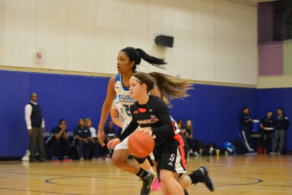 Seneca Sting defeat George Brown Huskies