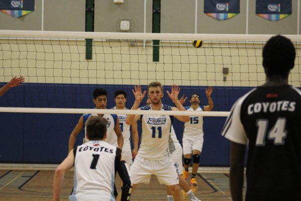 Huskies defeat Coyotes