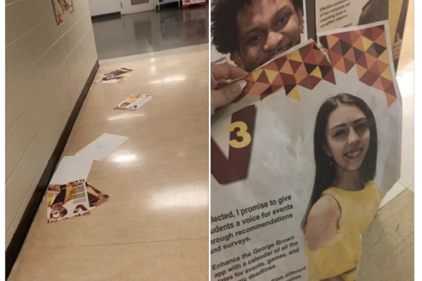 Mercedes Burrowes, who is running for the director of campus life on the V3 slate, posted on Facebook Saturday morning saying their posters had been "taken down."