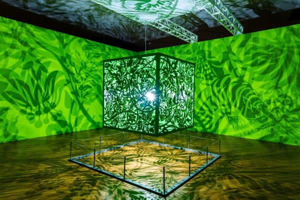 A decade of bridging cultures