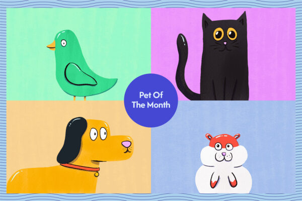 Pet of the Month – Sherlock (April 2024)